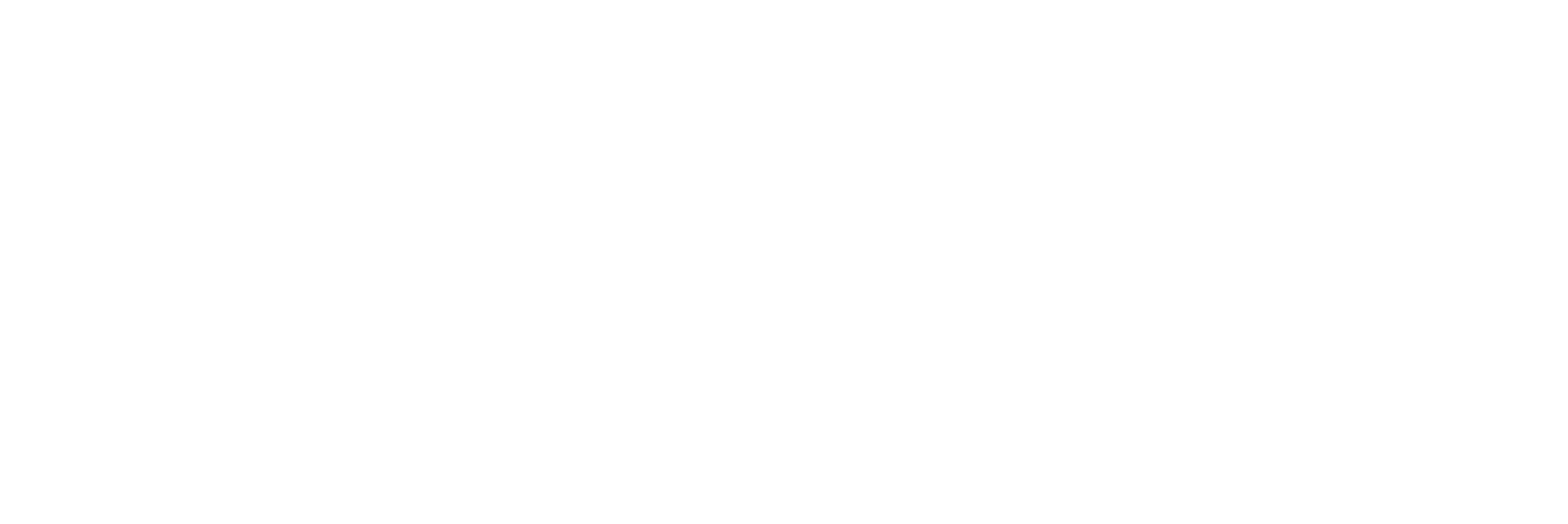 Logotype_ElevantiaSolutions-03